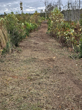 Keystone LandWorks project photo