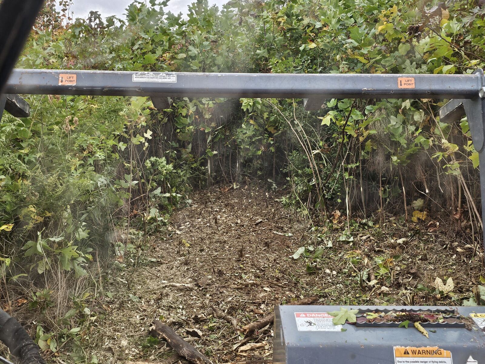 Forestry mulching brush clearing on a Northern Neck Virginia property