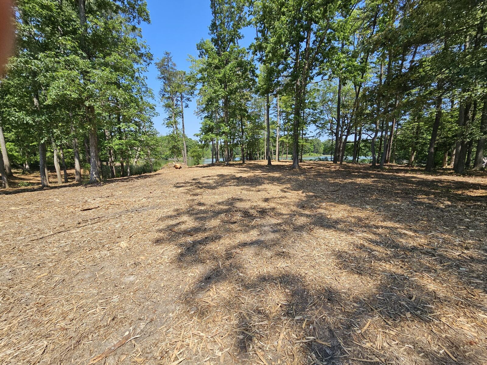 Forestry mulching finished work on a Northern Neck Virginia property