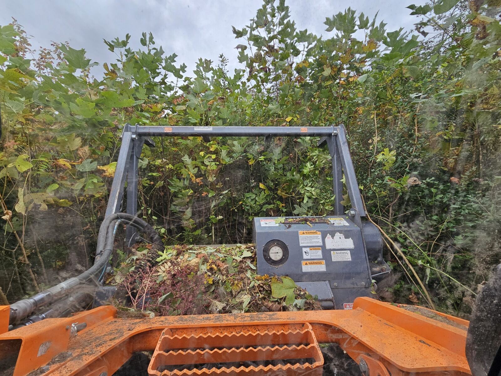 Forestry mulching skid steer in action on a Virginia property