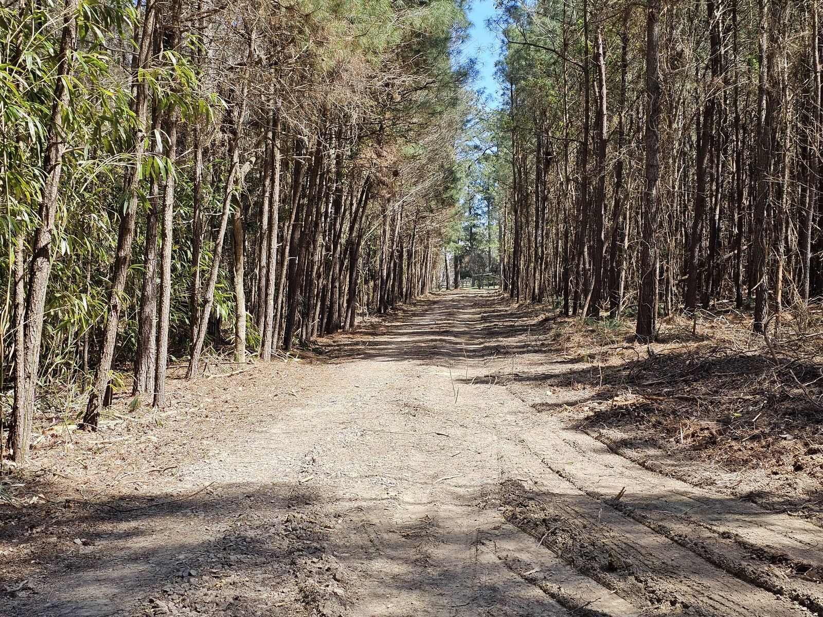 Excavation and clearing corridor work in the Northern Neck of Virginia