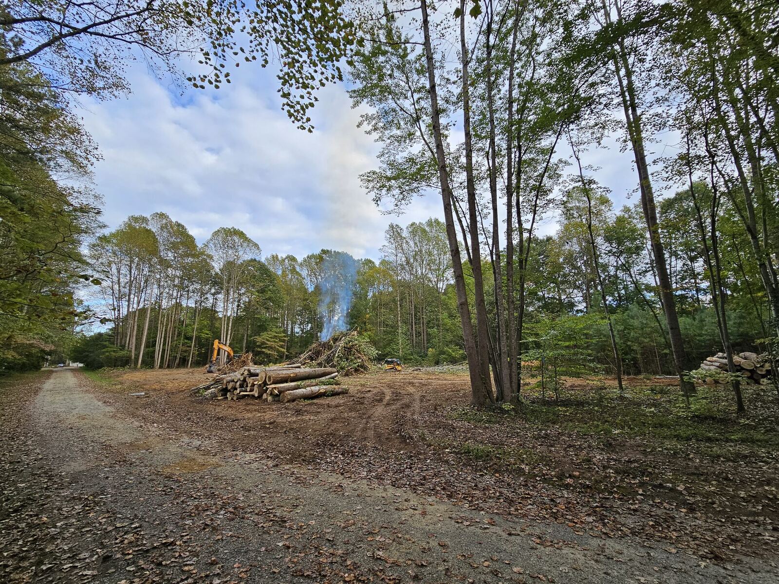Waterfront lot clearing on the Northern Neck of Virginia