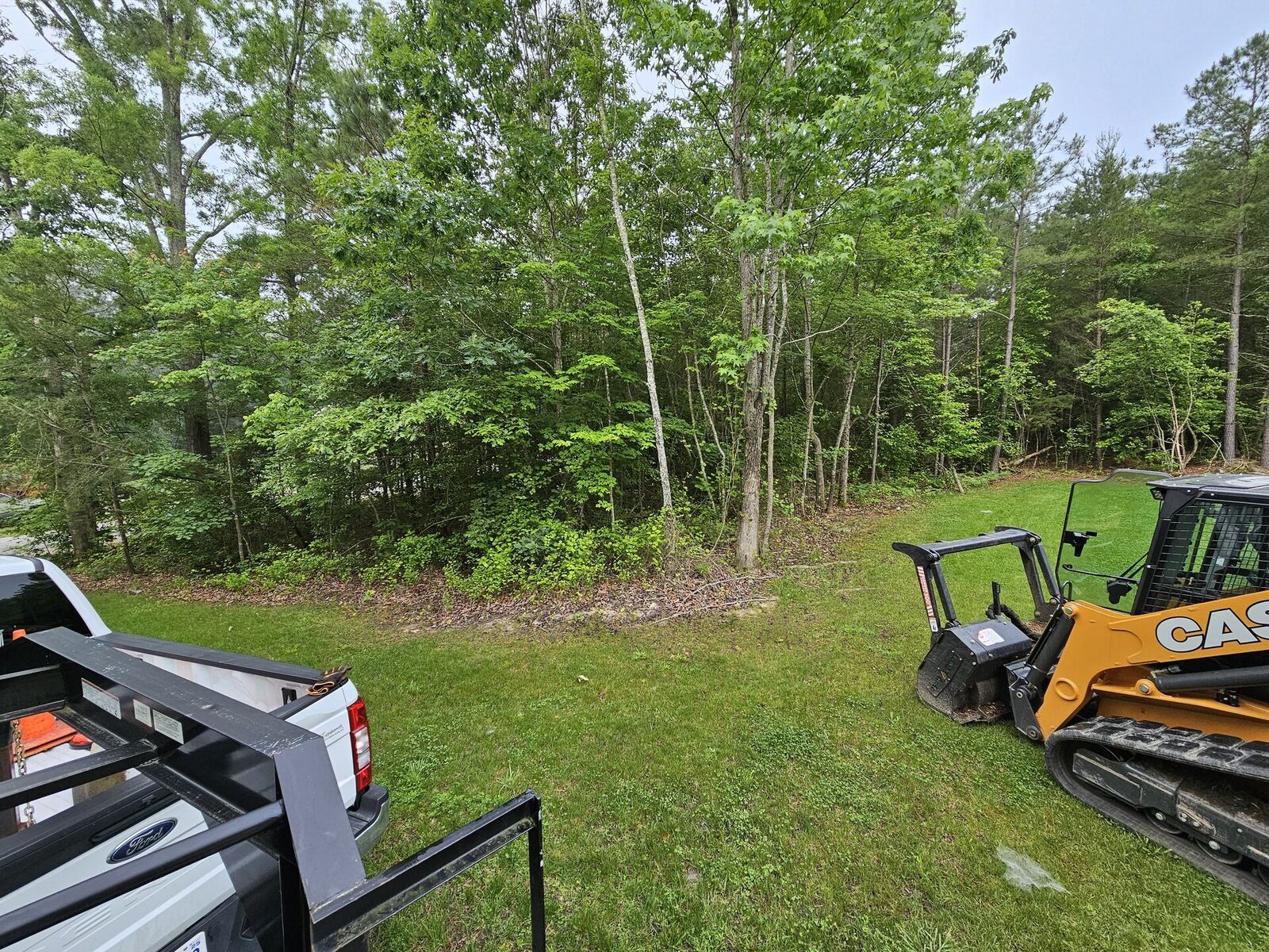 Waterfront property clearing on the Northern Neck of Virginia