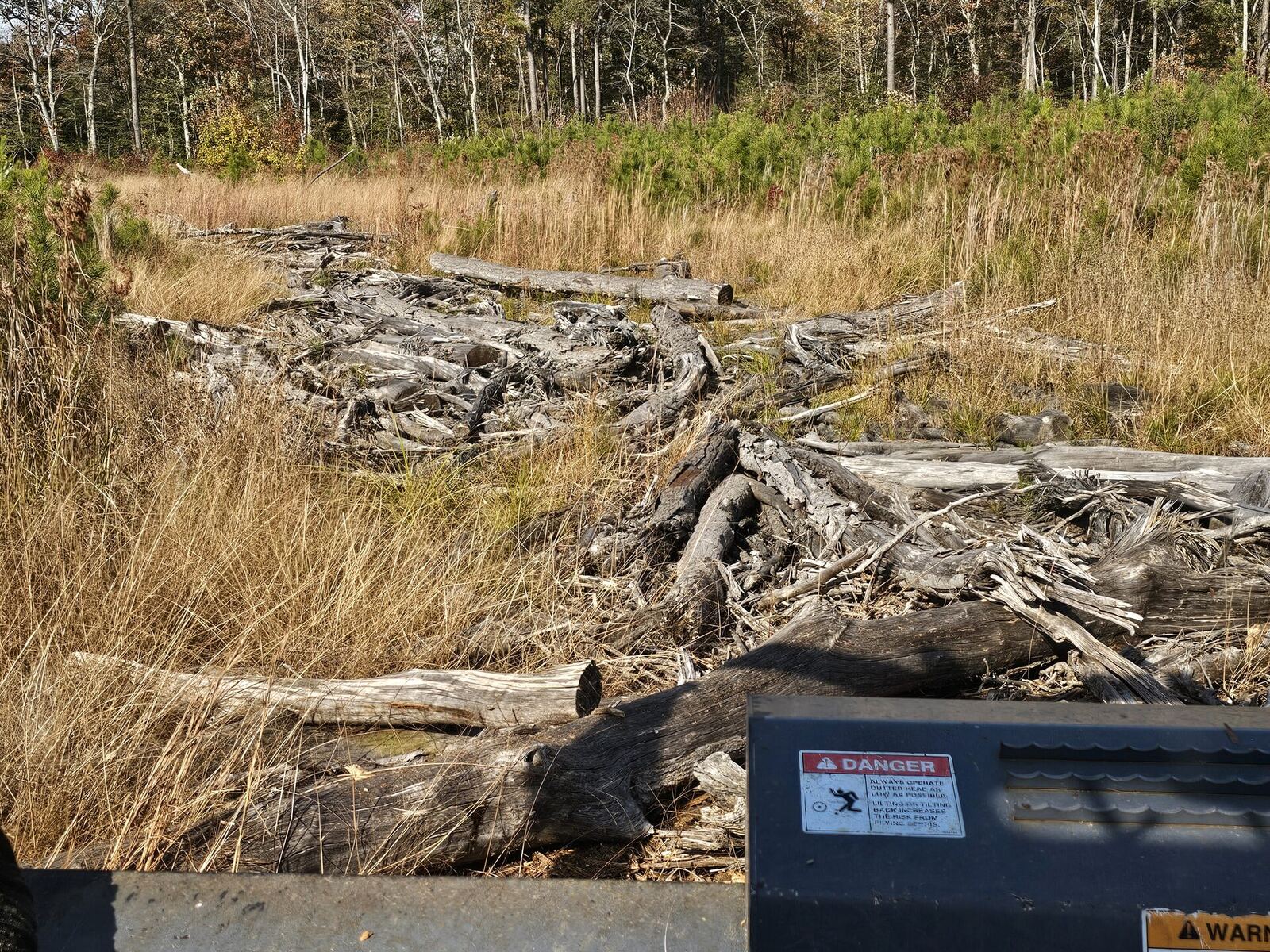 Forestry mulching on waterfront property in the Northern Neck of Virginia